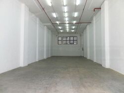 Trivex (D13), Warehouse #473613981